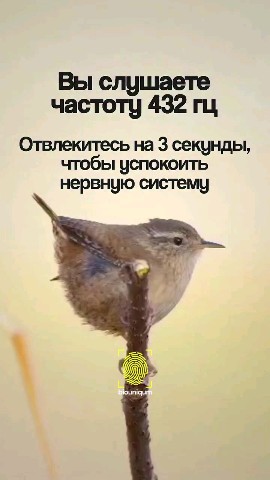 Белый шум в LOOKY. . Забудь про крипту, д...