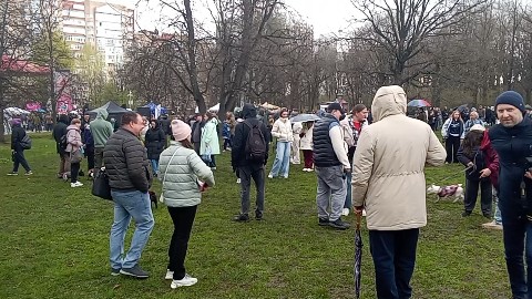 tsutsuriuk в LOOKY. . Фестиваль французски...