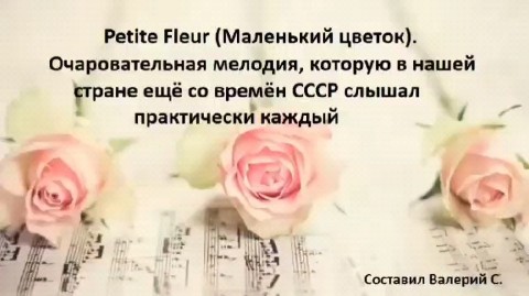 Semelka в LOOKY — #музыкальнаяминута #маленькийцветок #любовь #романтика #музы