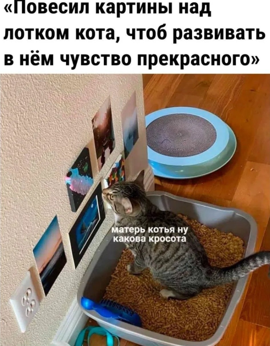 Maikl7171 в LOOKY — публикация