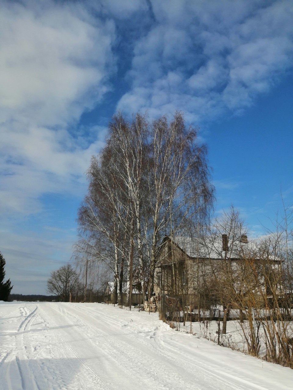 lana_3116 в LOOKY — публикация