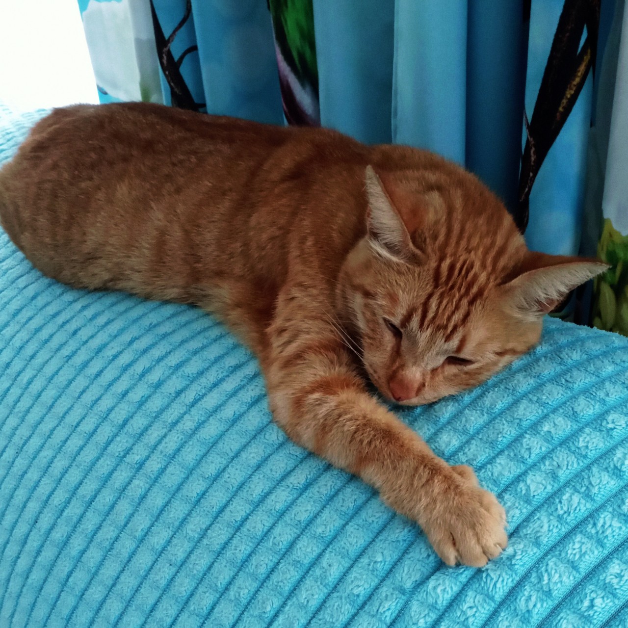 Лёля в LOOKY. . 
