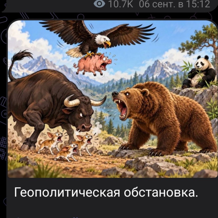  в LOOKY — публикация