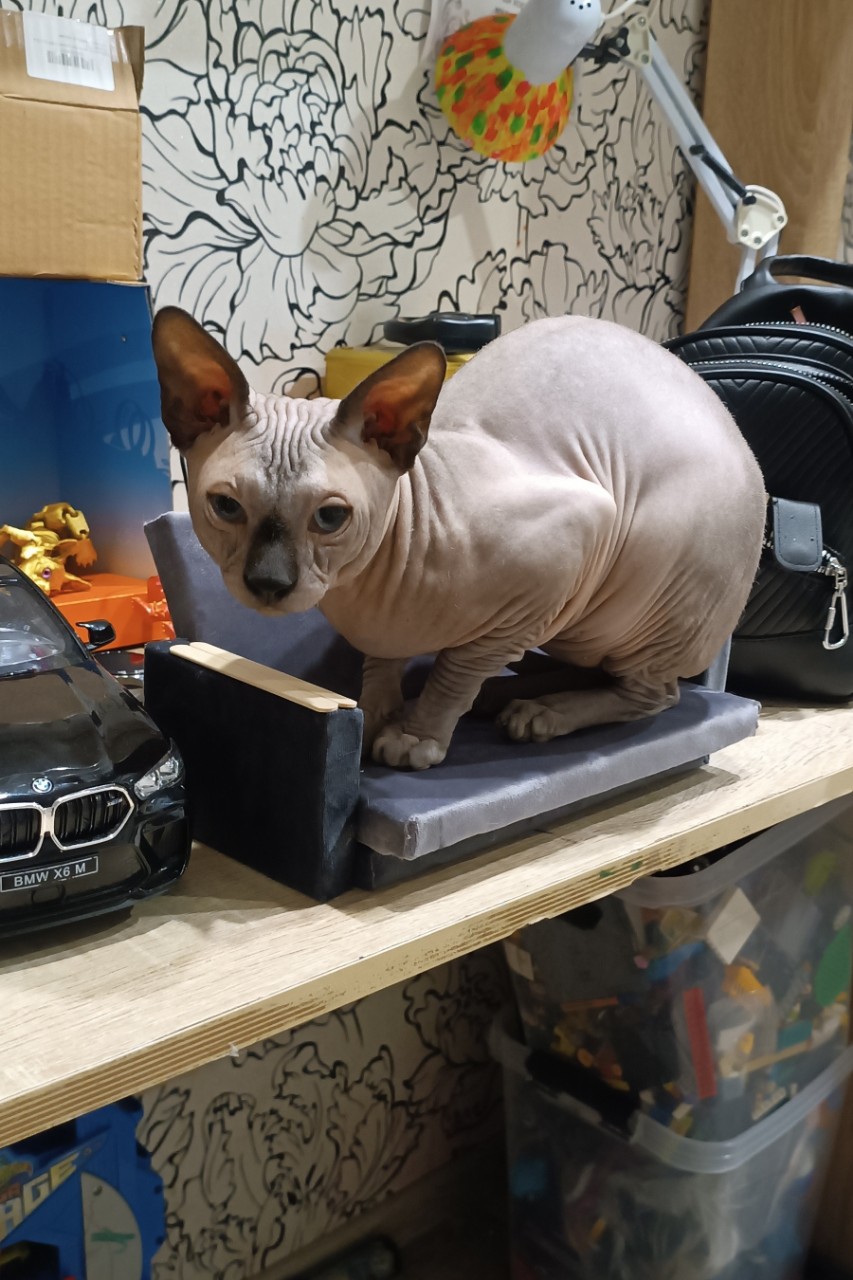 Елена в LOOKY. . Диванчик в самый раз...