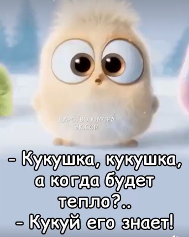 Looky_172340632299820 в LOOKY. . 