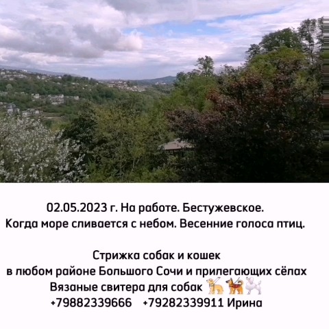 Looky_1676317000260 в LOOKY. #стрижкасобак,#одеждадлясобак,#ШИВ,#Сочи,#фотография,#птицы,#Бестужевское,#звук,#Чёрноеморе,#работакакэкскурсия. 02.05.2023 г. 
На ра...