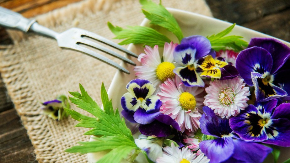 MicroGreens from Ladymari в LOOKY. #Микрозелень,#ЗдоровоеПитание,#ЕдаКакИскусство. 🌿🌸 Здравствуйте, п...