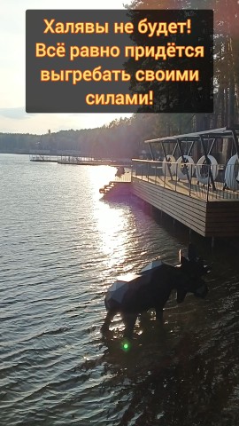 Евгений Ушаков - ПРАКТИКА ЖИЗНИ в LOOKY. #Пробуждение,#погружение,#мухомор. Халявы не будет! Всё...