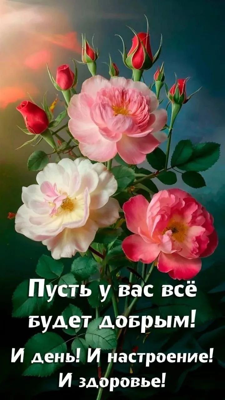 Сириус в LOOKY — публикация