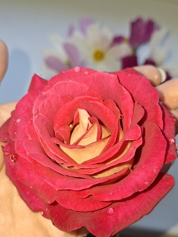 Аида в LOOKY. . Какая она красивая🌹...