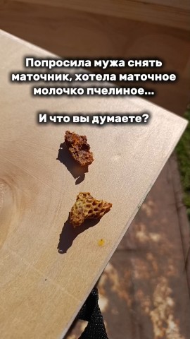 solovei_vdohnovenie в LOOKY. . И такое бывает 😅