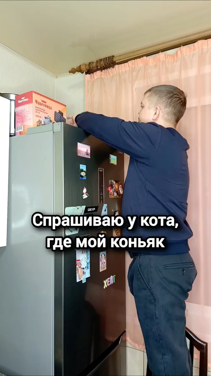 nesterov9492 в LOOKY. #юмор#смех#рекомендации. Ушлый кот, зараза 🤣...