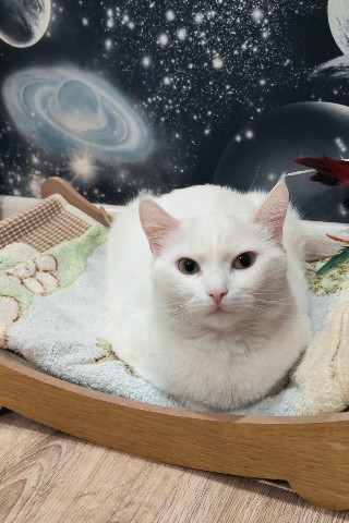 Looky_1701101074985 в LOOKY. . Выходные прошли, зав...