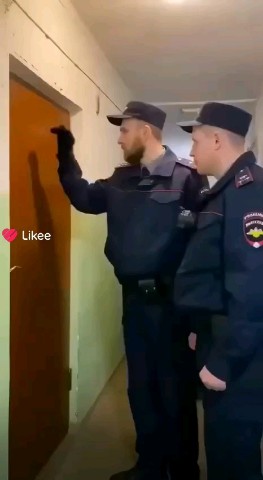 Looky_178017153672672 в LOOKY. . попугай