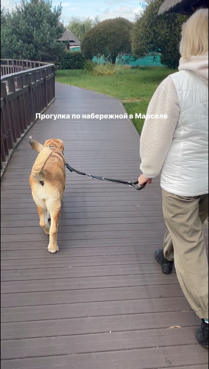 dr_larionov в LOOKY. . 