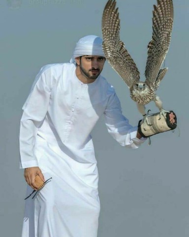 fazza3 в LOOKY. . [#falcon](falcon) [#...