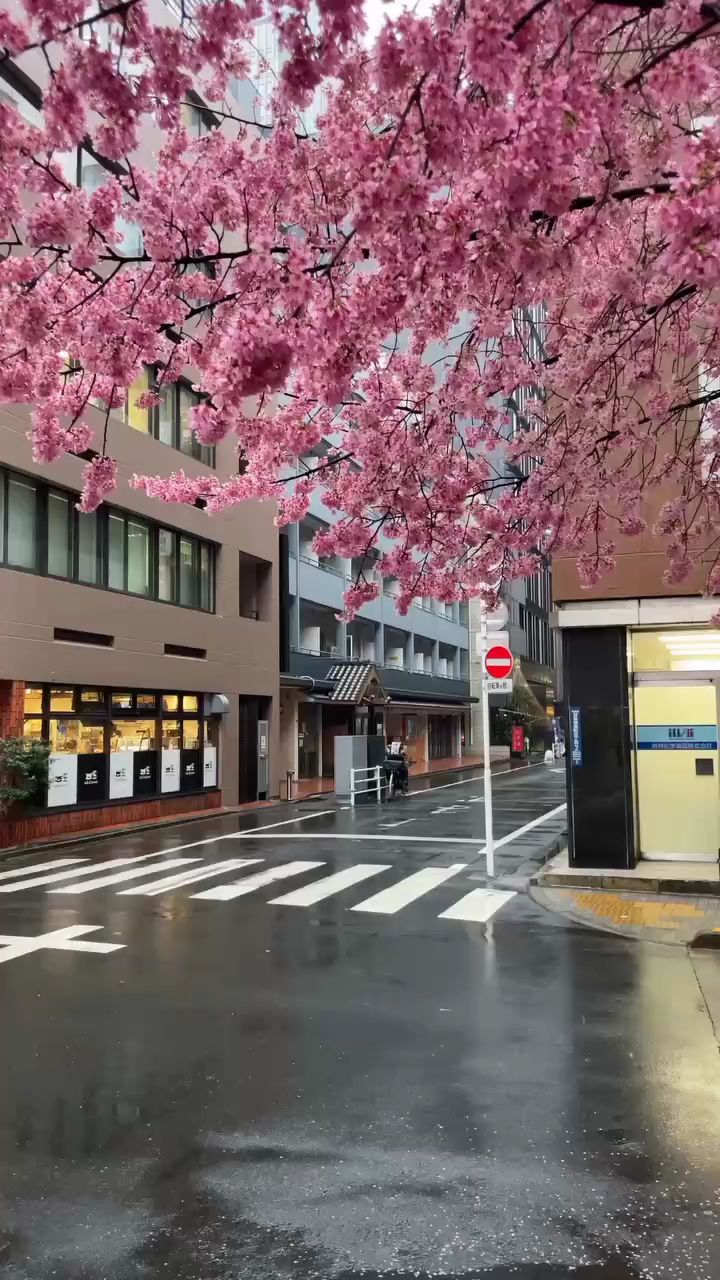 Fahriddin UZBEKISTAN в LOOKY. . Japan Япония ,
[#tra...