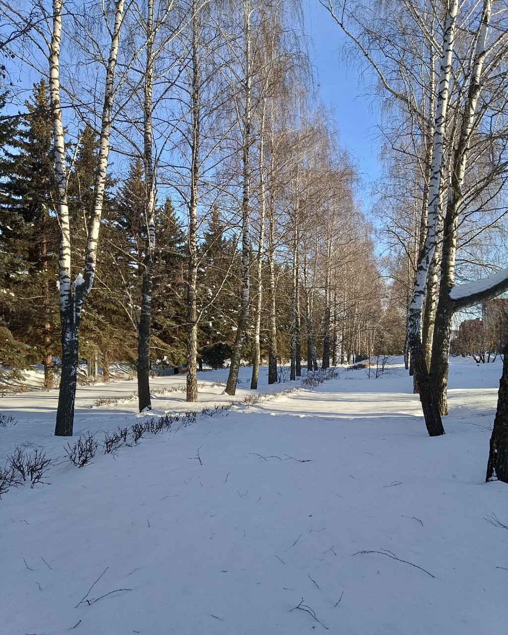leninogorsk.life