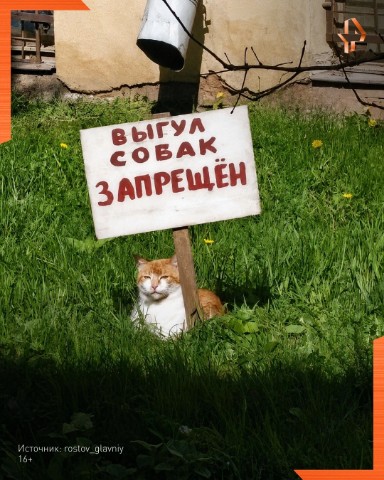 iv_gazaryan в LOOKY. . Одиночный пикет устр...