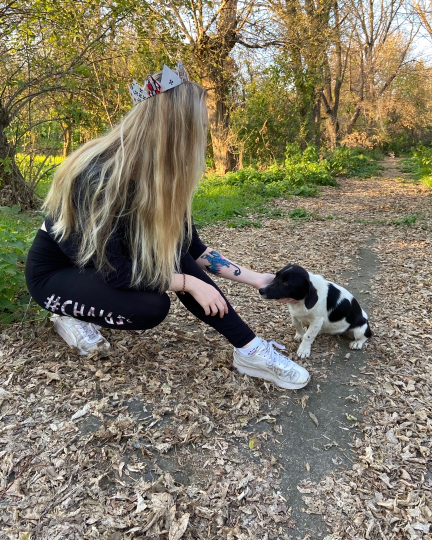 👑👑
[#рек](рек) [#рекомендации](рекомендации) [#корона](корона) [#собака](собака) [#атмосфера](атмосфера) [#подпишись](подпишись) [#подписка](подписка) [#лайки](лайки) [#follow](follow) [#followme](followme) [#like](like) [#selfie](selfie) 