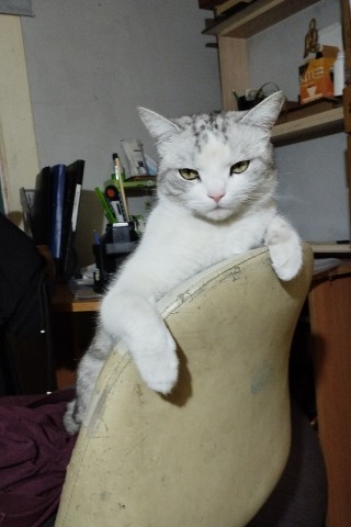 belovandbelov в LOOKY. . 