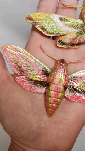 Bukashki в LOOKY. #бабочка,#бражник,#мотылек,#butterfly,#moth,#декоративнаябабочка. Бабочка Бражник. Дек...