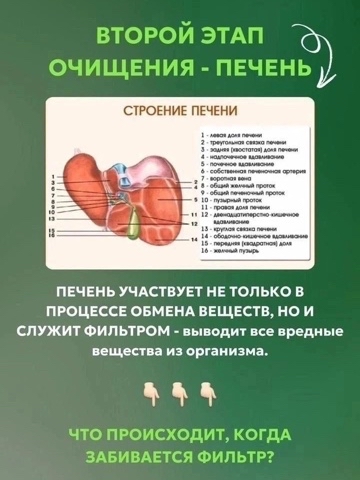 nikinata2015 в LOOKY. . ‼️Второй этап - очищ...