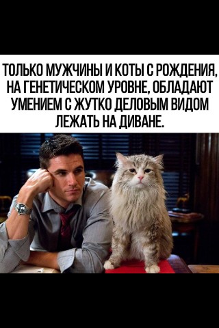 amazonka5ul в LOOKY. #юмор. Юмор
#юмор
