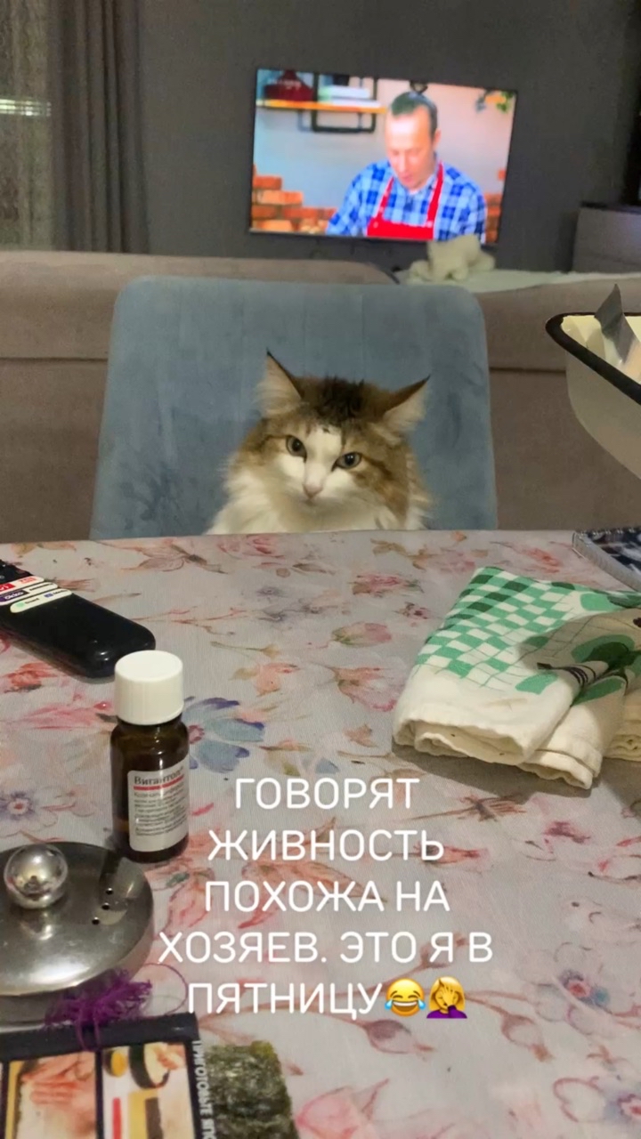 olivaij79 в LOOKY. . 