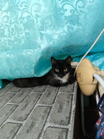 Looky_176729826147502 в LOOKY. . Вот-вот начнутся тёп...