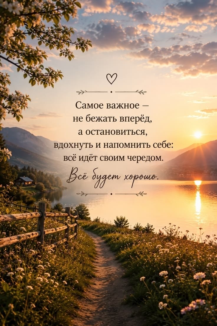 Небесный Светлячок в LOOKY — публикация
