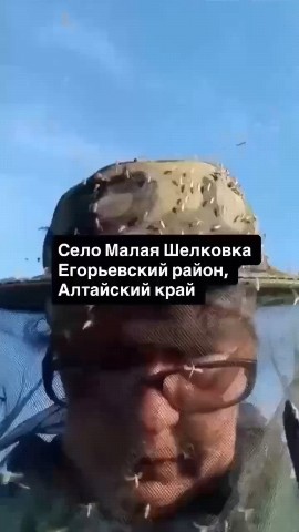Чп новости в LOOKY. #. Над Алтайским краем ...