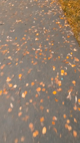 Ядвига 11.56 в LOOKY — 🍂