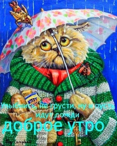 Looky_1695925200957 в LOOKY — [#доброеутро](доброеутро) [#утро](утро) 