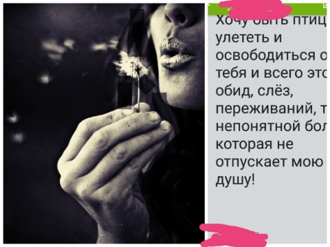 ЕлаЕла в LOOKY. . Лети пушистик👍🤣😊м...