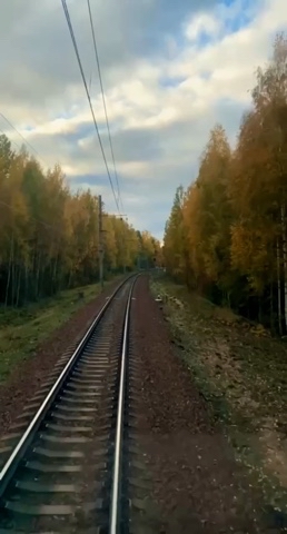 rsteplife в LOOKY. . 
