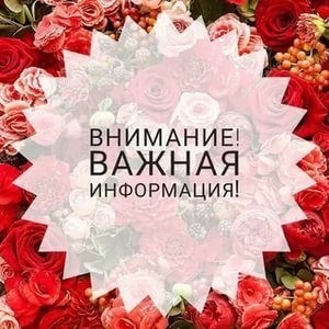 Looky_173213379005691 в LOOKY. . ‼️ Внимание,внимание...