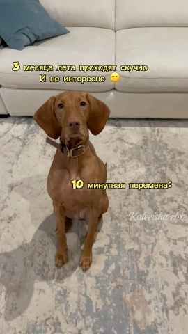 Katerisha rbx в LOOKY. . 