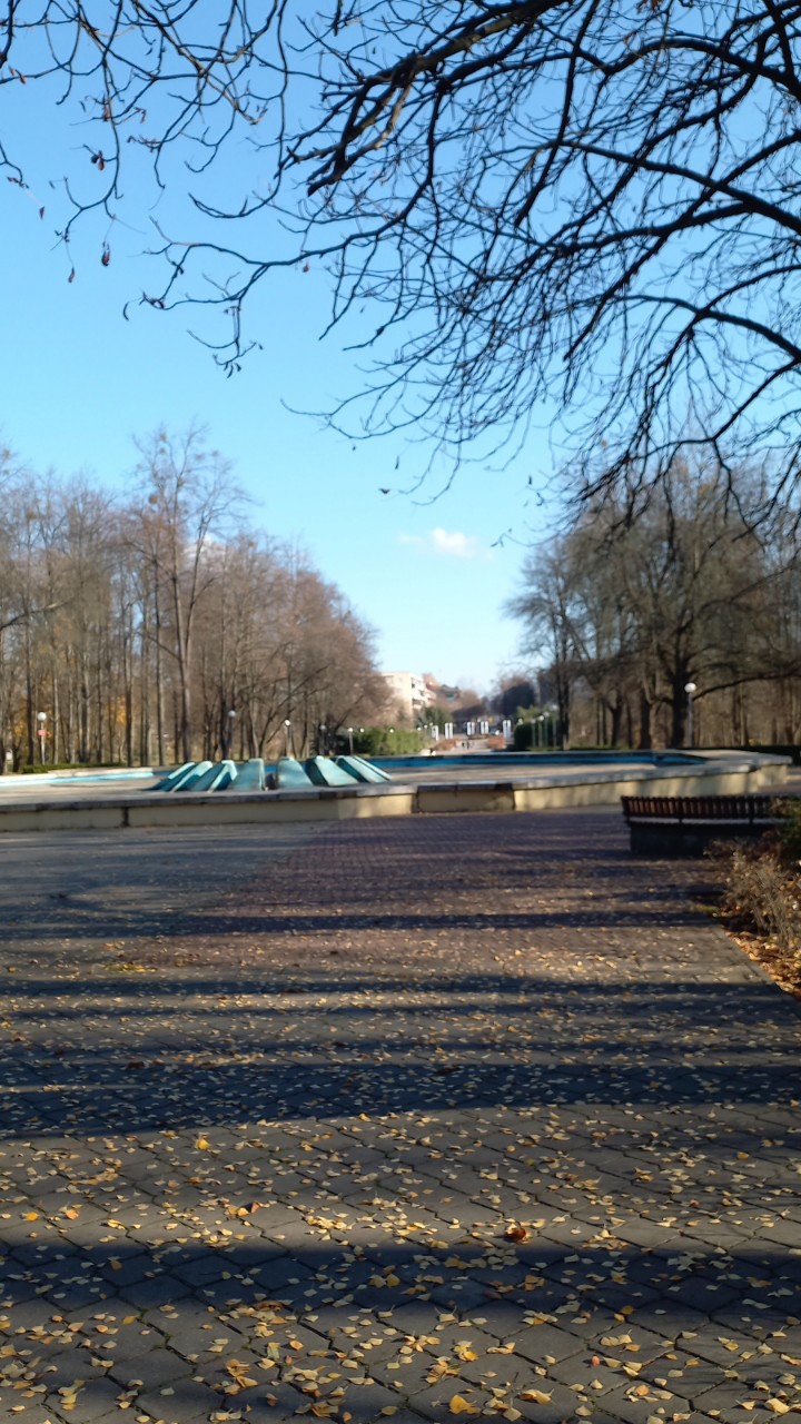 Елена in LOOKY. . Городской парк