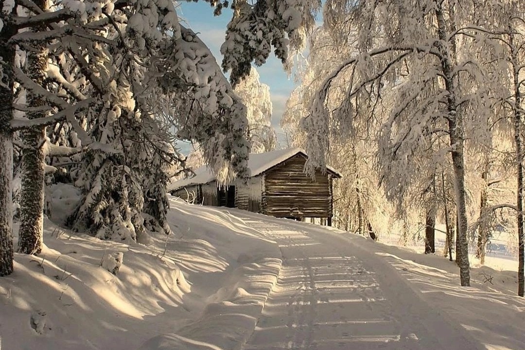 Yura в LOOKY — [#siberia ](siberia)
