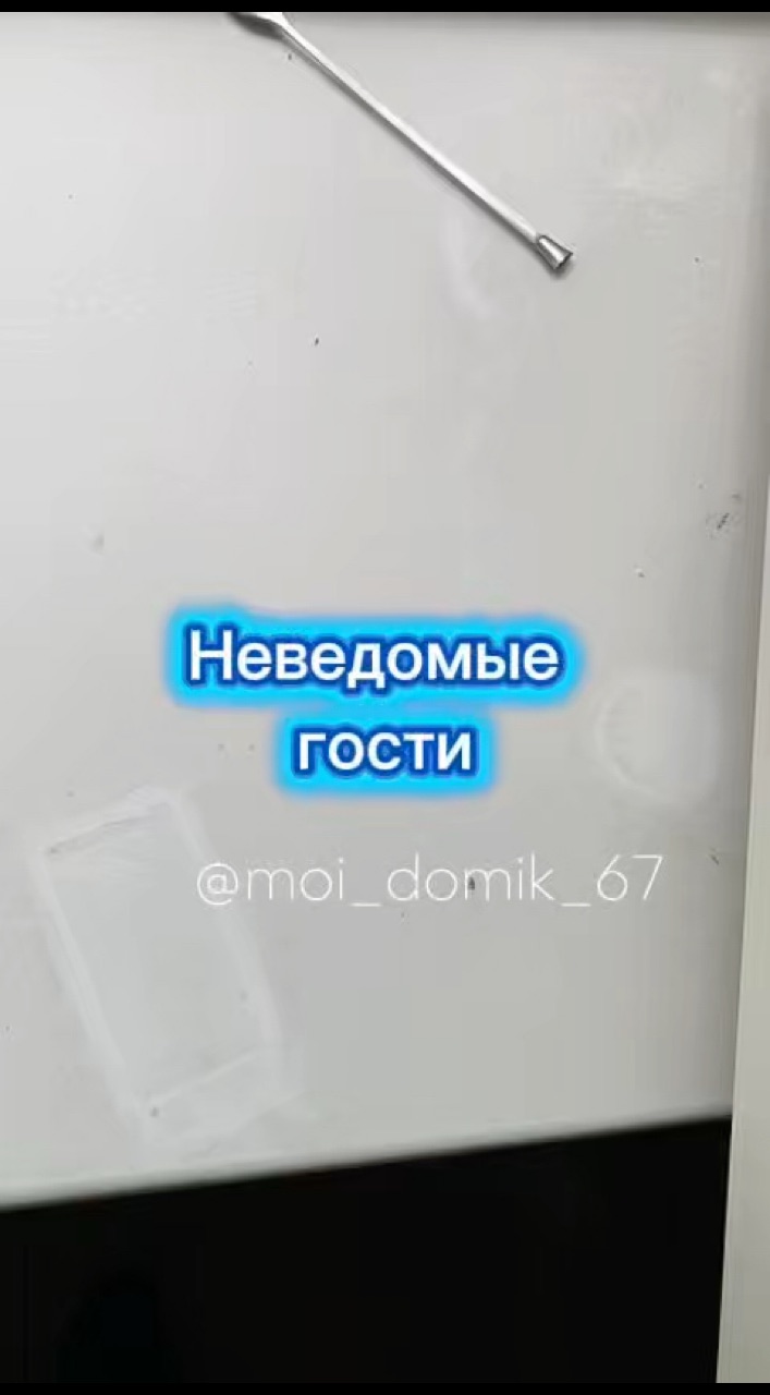 moi_domik_67 в LOOKY. #дом,#дача,#ремонт,#уборка. Как думаете, кто тут...
