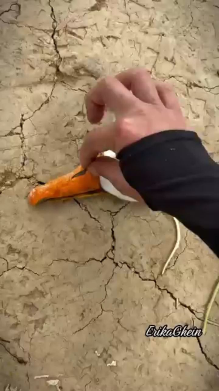  в LOOKY — публикация