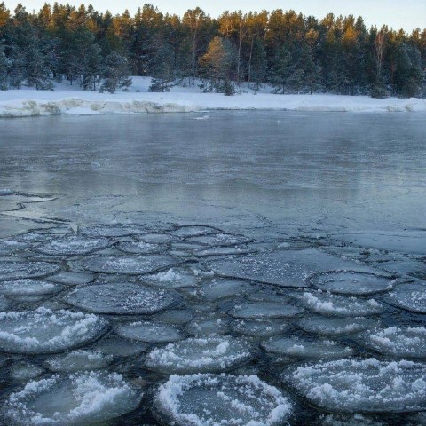 martynov4005 в LOOKY. . 