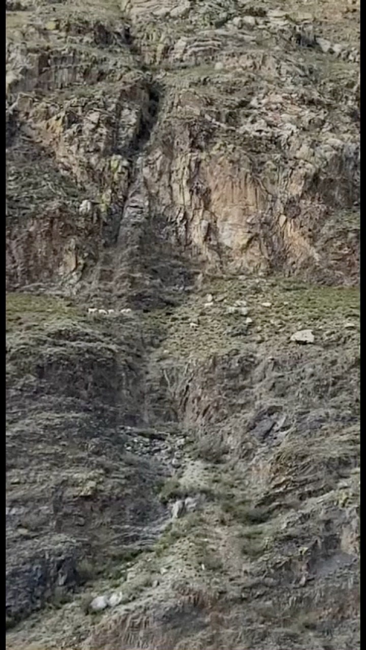 AndruLife в LOOKY. . Это местечко находит...