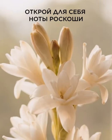 Ирина  Фаберлик в LOOKY. . 
