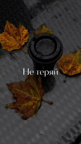 Looky_173213379005691 в LOOKY. . Добрый день ❤️

✨С п...