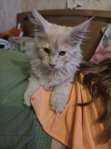 Мия в LOOKY. #cat. Хорошо на спинке у х...