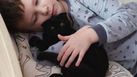 Просто минутка милоты и нежности 🤗🧡

[#аккордеонромашкович ](аккордеонромашкович)[#асясдерева ](асясдерева) [#безкотаижизньнета ](безкотаижизньнета) [#дети ](дети)[#питомцы ](питомцы)[#кошки ](кошки)#семья