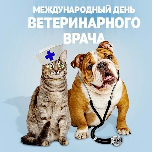 Looky_1682034244197 в LOOKY — 29 апреля 2023 года отмечается День ветеринара. Благодаря тр