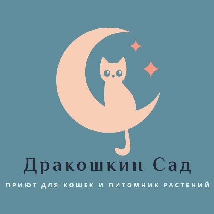 PetsStalkerS in LOOKY. #дракошкинсад. Привет, друзья! Как ...